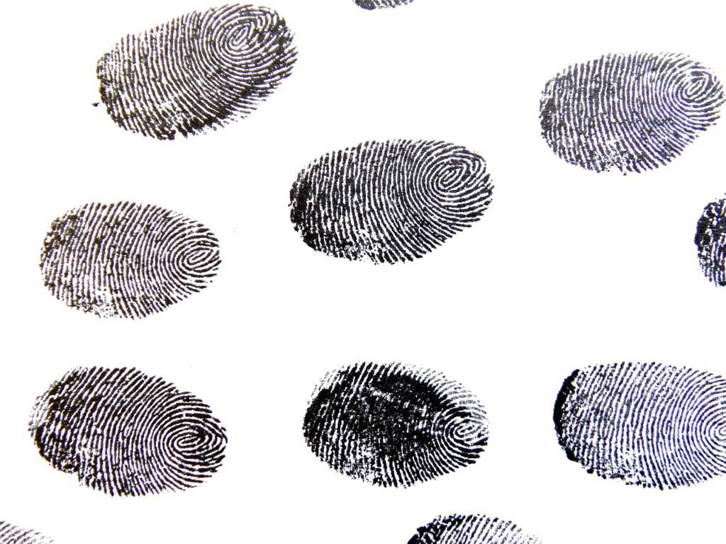fingerprint, sense, template, detective, contrasts, finger, finger grooves, unique, dactylogram, imprint, papillary ridges, fingertip, fingerprints, meeting point, assembly, meet, detective work, fingerprint, fingerprint, fingerprint, fingerprint, fingerprint, fingerprints