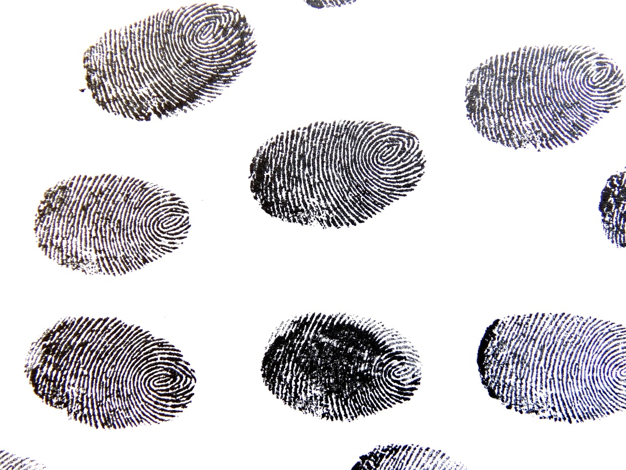 fingerprint, sense, template, detective, contrasts, finger, finger grooves, unique, dactylogram, imprint, papillary ridges, fingertip, fingerprints, meeting point, assembly, meet, detective work, fingerprint, fingerprint, fingerprint, fingerprint, fingerprint, fingerprints